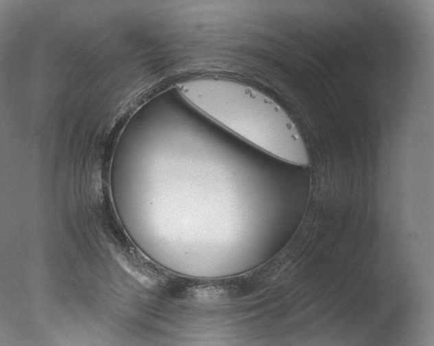 X0000077380500200610201046