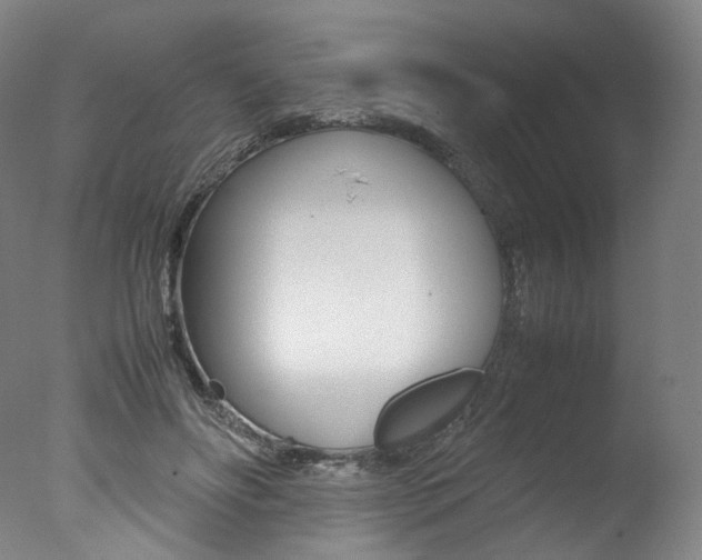 X0000077380502200610201046