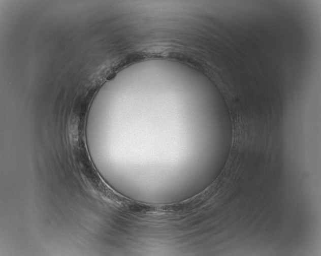 X0000077380504200610201046