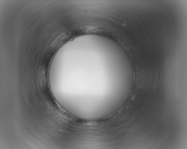 X0000077380506200610201046