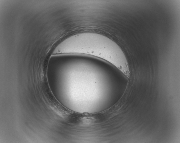 X0000077380508200610201046