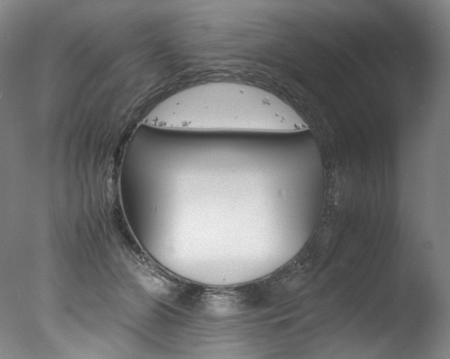 X0000077380510200610201046
