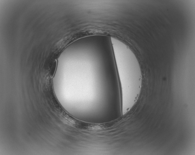 X0000077380513200610201046