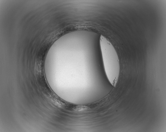 X0000077380514200610201046