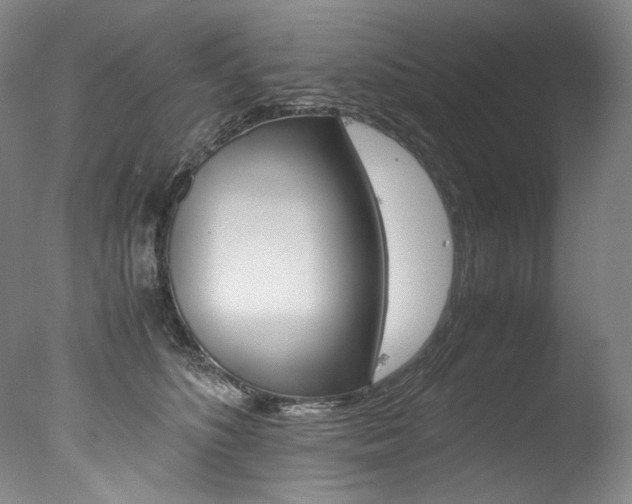 X0000077380516200610201046