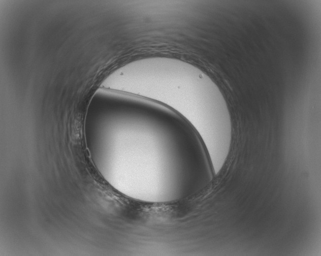 X0000077380517200610201046