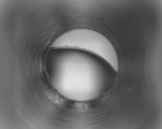 X0000077380520200610201046