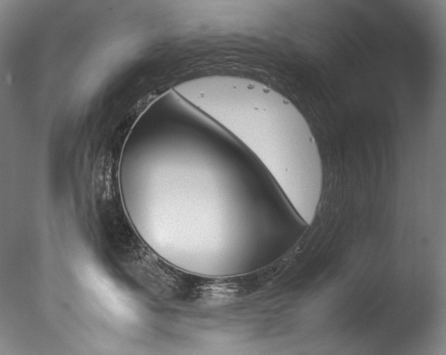X0000077380525200610201046