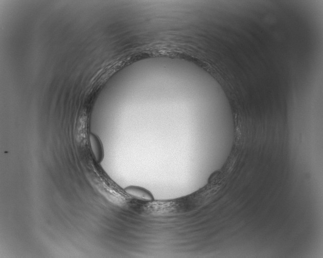 X0000077380526200610201046