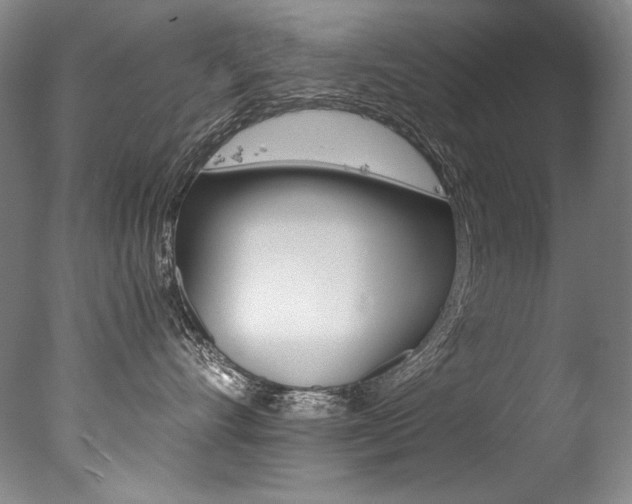 X0000077380528200610201046