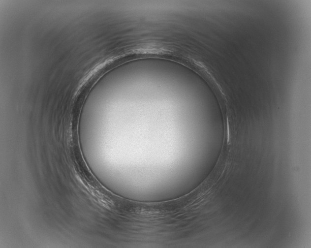 X0000077380531200610201045