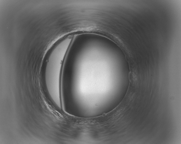 X0000077380532200610201045