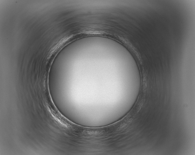 X0000077380533200610201045