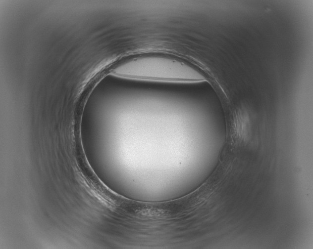X0000077380535200610201045