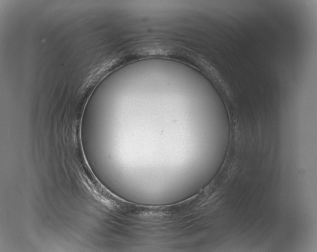 X0000077380537200610201045