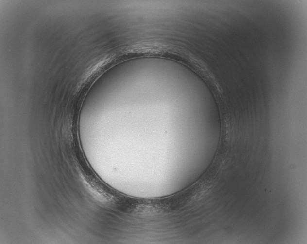 X0000077380538200610201045