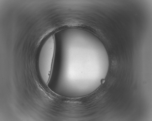X0000077380539200610201045