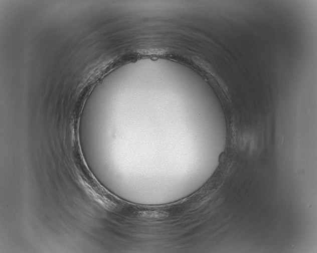X0000077380541200610201045