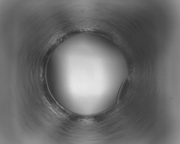 X0000077380548200610201045