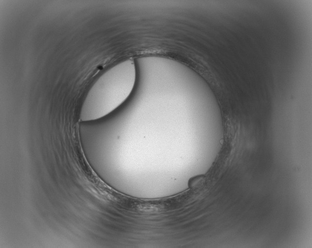 X0000077380549200610201045