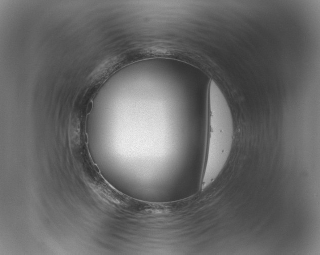 X0000077380552200610201045