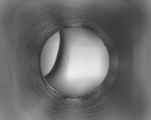 X0000077380553200610201045