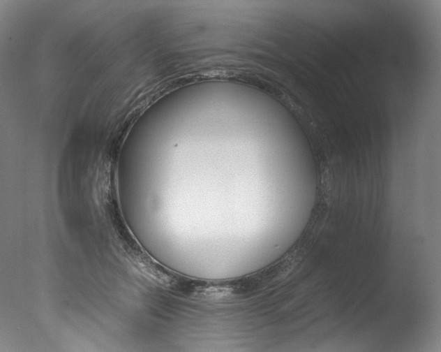 X0000077380554200610201045