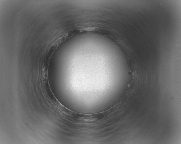 X0000077380555200610201045