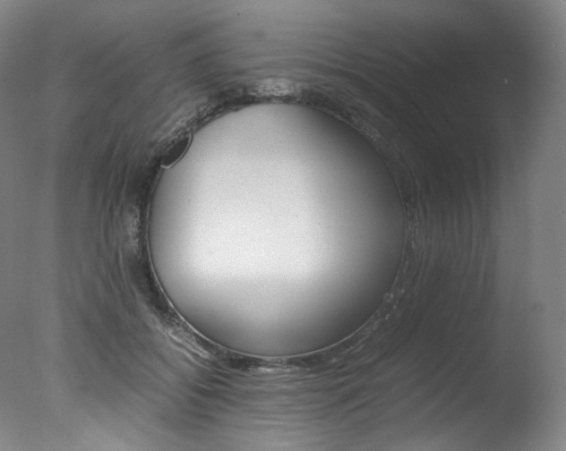 X0000077380556200610201045