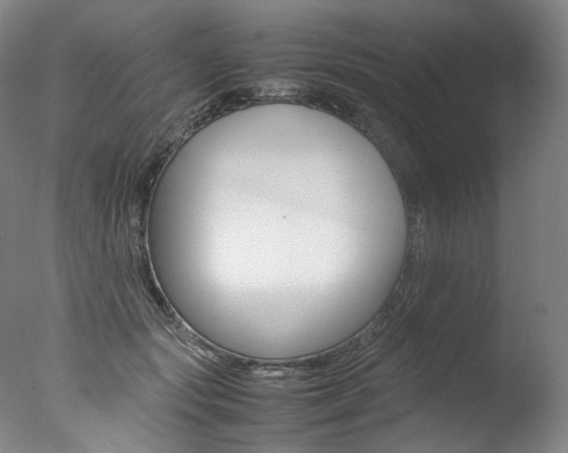 X0000077380557200610201045