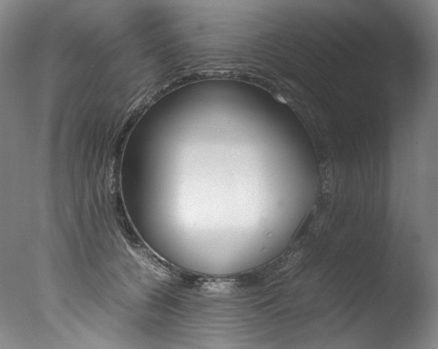 X0000077380560200610201046