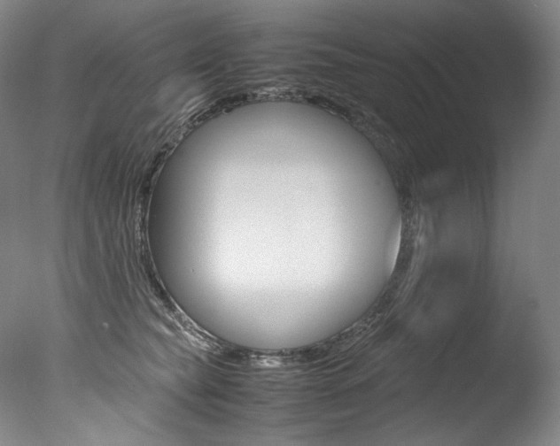 X0000077380565200610201046