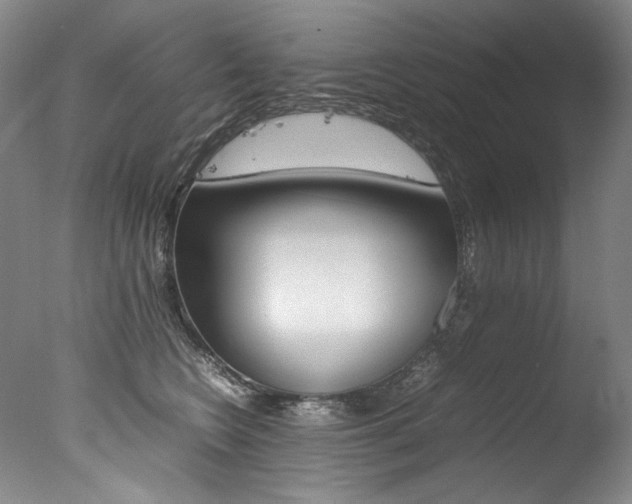 X0000077380566200610201046