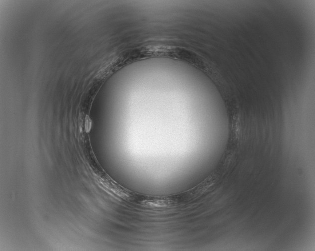 X0000077380567200610201046