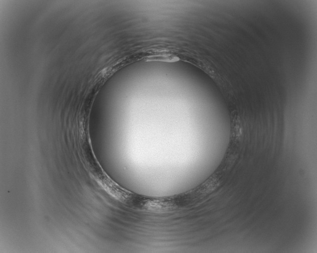 X0000077380568200610201046