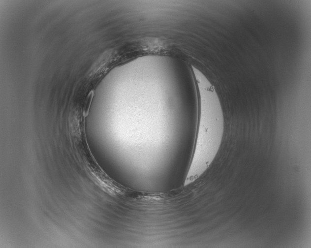 X0000077380572200610201046