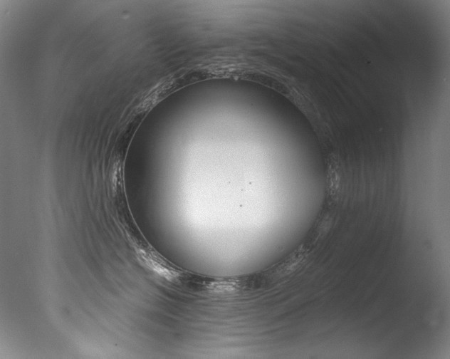 X0000077380574200610201046