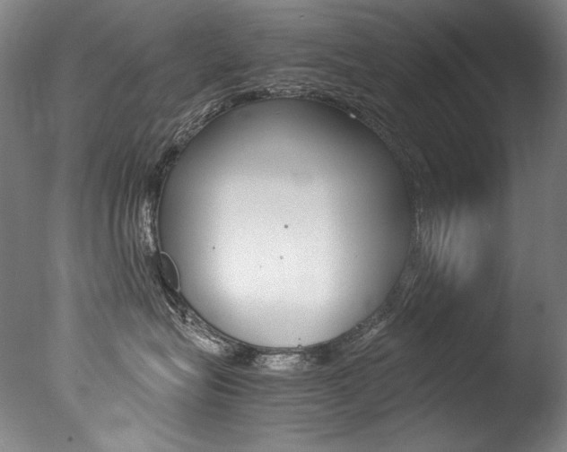 X0000077380575200610201046