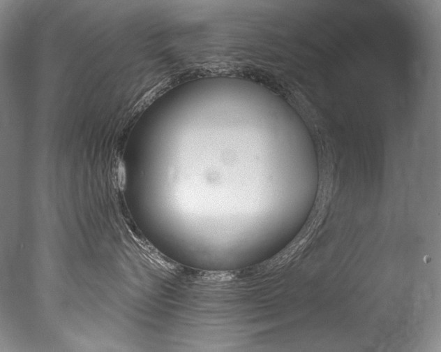 X0000077380576200610201046