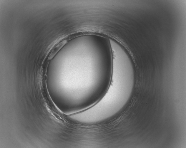 X0000077380580200610201045