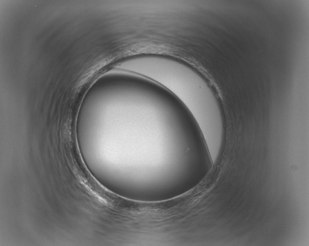 X0000077380581200610201045