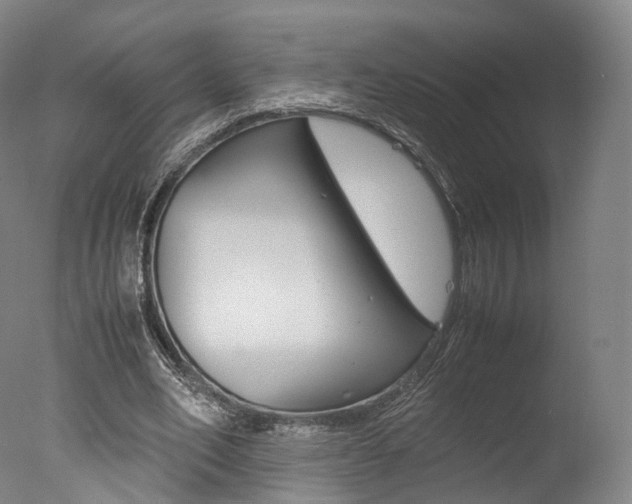 X0000077380582200610201045