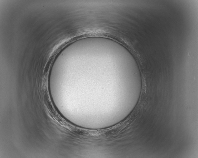 X0000077380583200610201045