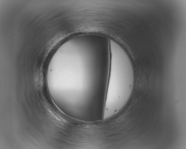 X0000077380584200610201045