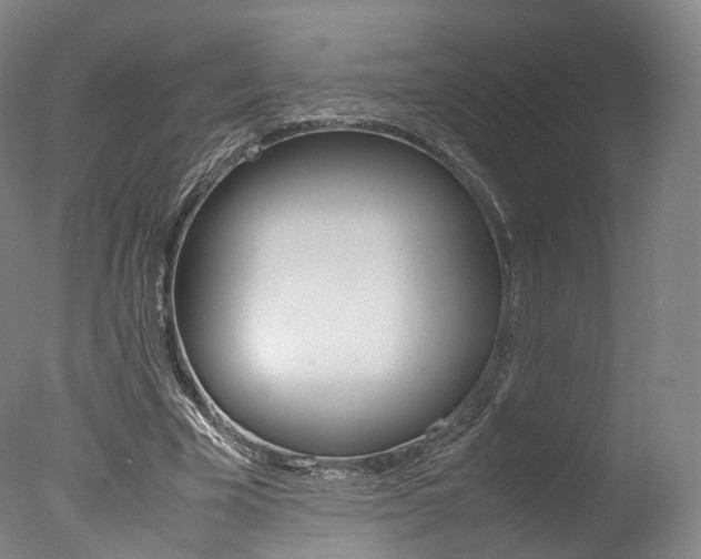 X0000077380585200610201045