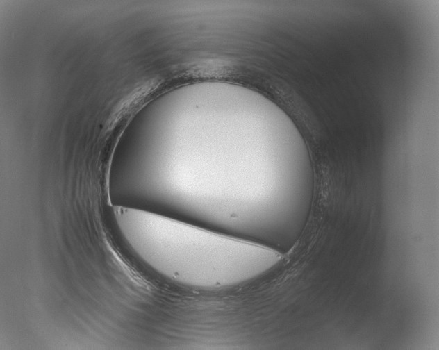 X0000077380586200610201045