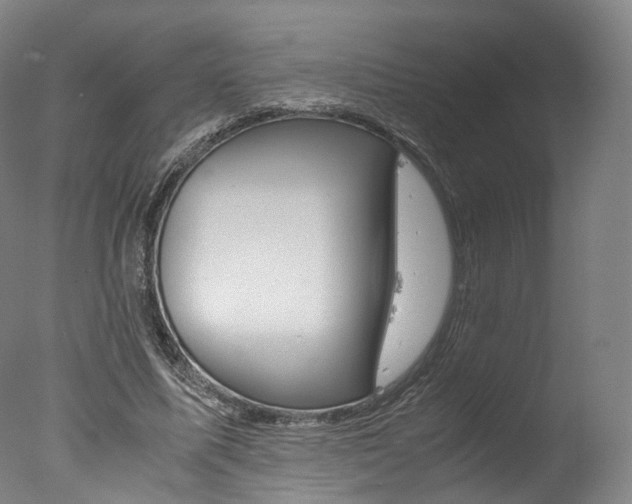 X0000077380587200610201045