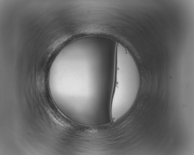 X0000077380588200610201045