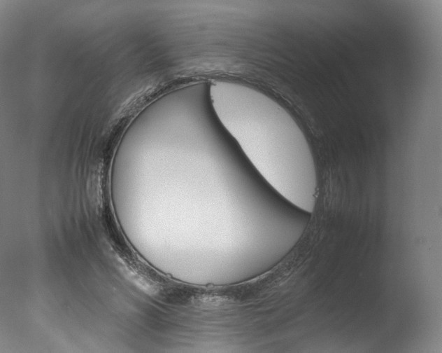 X0000077380590200610201045