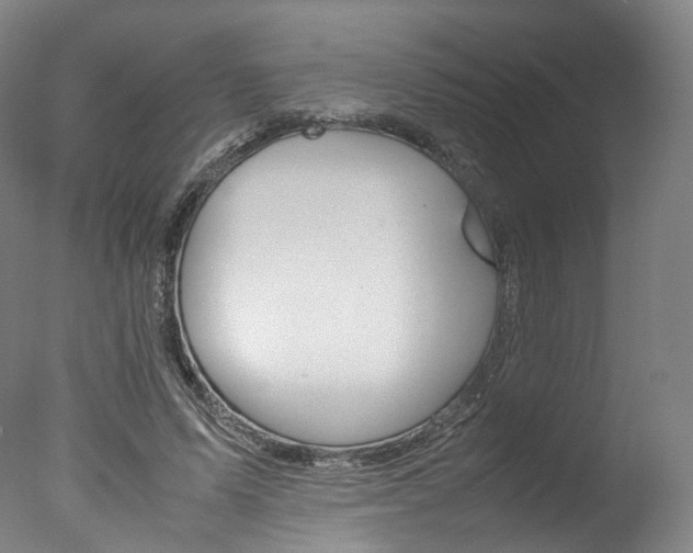 X0000077380591200610201045